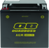 QuadBoss Maintenance-Free AGM Battery QBX14-FA