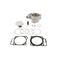 CYLINDER WORKS Cylinder Kit Bb 99.00/+3.0 13.5:1 Hon - 422-11010K2