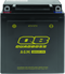 QuadBoss Maintenance-Free AGM Battery QBX12C-FA