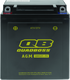 QuadBoss Maintenance-Free AGM Battery QBX12C-FA