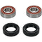 PIVOT WORKS Wheel Bearing Kit Premium - 22-51009P