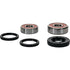 PIVOT WORKS Wheel Bearing Kit Premium - 22-51179P