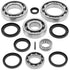 QuadBoss 04-09 Kawasaki KFX700 Rear Differential Bearing & Seal Kit