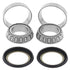 QuadBoss 79-85 Honda ATC110 Taper Steering Bearing Kit