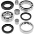 QuadBoss 99-02 Kawasaki KVF300 Prairie 2x4 Rear Differential Bearing & Seal Kit