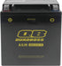 QuadBoss Maintenance-Free AGM Battery QBX20CH-FA