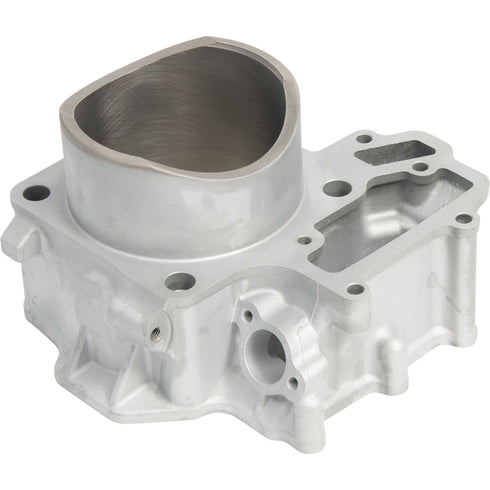 CYLINDER WORKS Cylinder Only Rear 85.00/Std Kaw - 422-30014