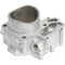 CYLINDER WORKS Cylinder Only Rear 85.00/Std Kaw - 422-30014