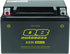 QuadBoss Maintenance-Free AGM Battery QBX9-FA